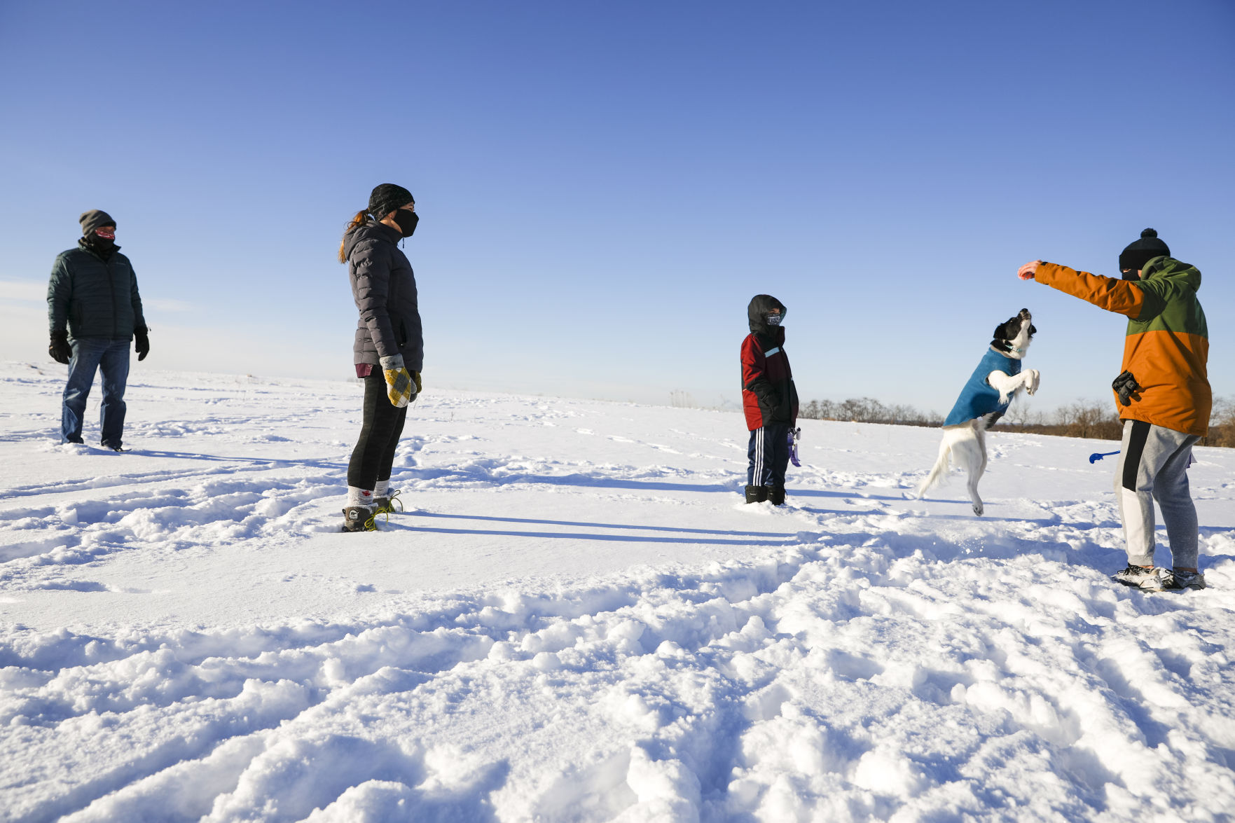 Sycamore Dog Park 012721 18-02082021131031